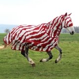 Derka siatkowa z kołnierzem Buzz-Off ZEBRA - Bucas - red/white
