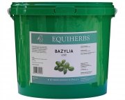 Bazylia1kg - EQUIHERBS