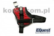 Szelki dla psa SPEED - EQUEST