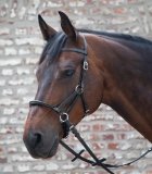 Ogłowie bezwędzidłowe LINDA TELLINGTON JONES LINDEL - Waldhausen