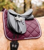 Potnik COMPETITION - Waldhausen