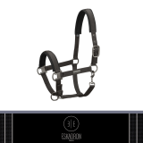 Kantar PIN BUCKLE Essence 2022 - Eskadron - darkolive