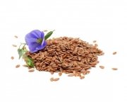 Siemię lniane 2 kg - EQUIHERBS 