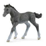 Figurka źrebak rasy trakeńskiej HORSE CLUB - SCHLEICH