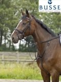 Wytok STANDARD PRO - BUSSE
