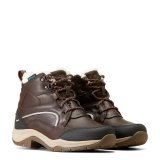 Buty TELLURIDE H2O Insulated - Ariat - dark brown