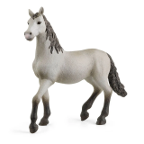  Figurka młody koń rasy hiszpańskiej HORSE CLUB - SCHLEICH
