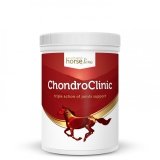 ChondroClinic 690g - HorseLine PRO