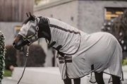Derka siatkowa z kołnierzem Classic - Kentucky