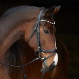 Ogłowie anatomiczne STELLA Ultrasoft - Kieffer