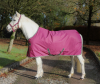  Derka stajenna 300g FREEDOM STABLE - Bucas - raspberry