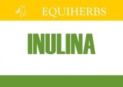 Inulina 1 kg - EQUIHERBS