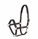 Kantar Eskadron PIN BUCKLE STANDARD - dark brown