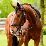 Ogłowie bezwędzidłowe anatomiczne FaySport - PRESTEQ