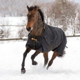 Derka padokowa 50g 1200D IRISH - Bucas - black/gold