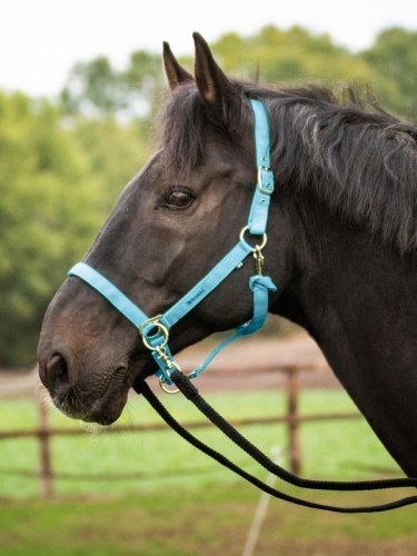 Kantar do jazdy RIDING - BUSSE