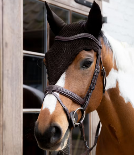 Nauszniki Long - Kentucky - brown