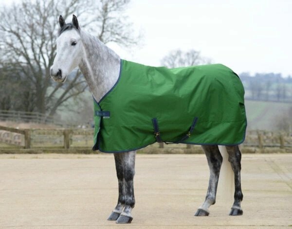 Derka stajenna FREEDOM STABLE 150g - BUCAS - emerald green