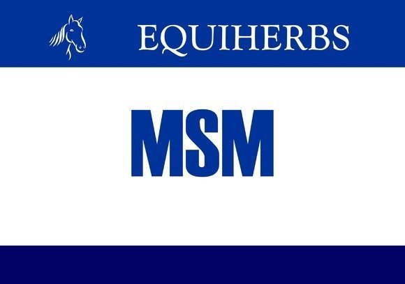 MSM 1 kg - EQUIHERBS