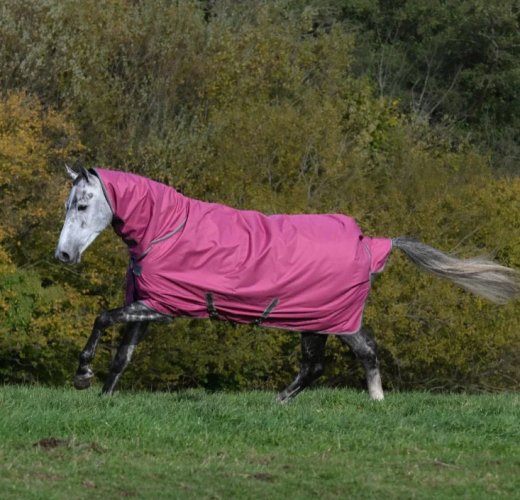 Derka padokowa z kołnierzem 0/0g 600D FREEDOM TURNOUT - Bucas - raspberry