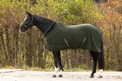 Derka polarowa AW24 - Covalliero - opal green 