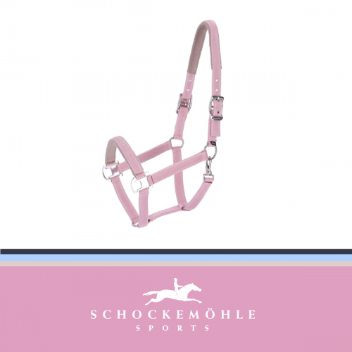 Kantar MEMPHIS III SS26 - Schockemohle - pale pink