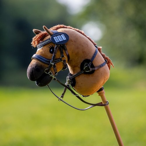Hobby Horse - QHP