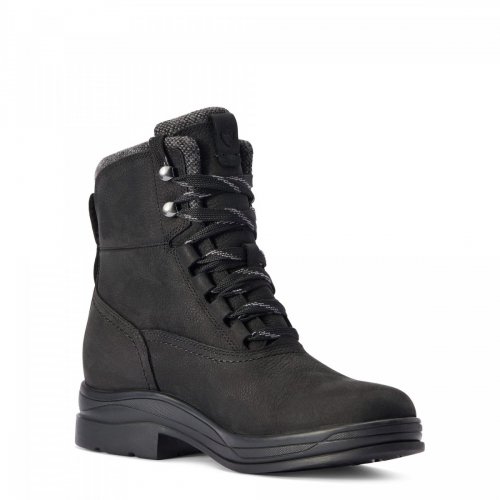 Buty damskie HARPER H2O - Ariat - charcoal
