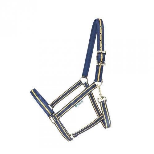 Kantar Dublin - BUCAS navy/gold
