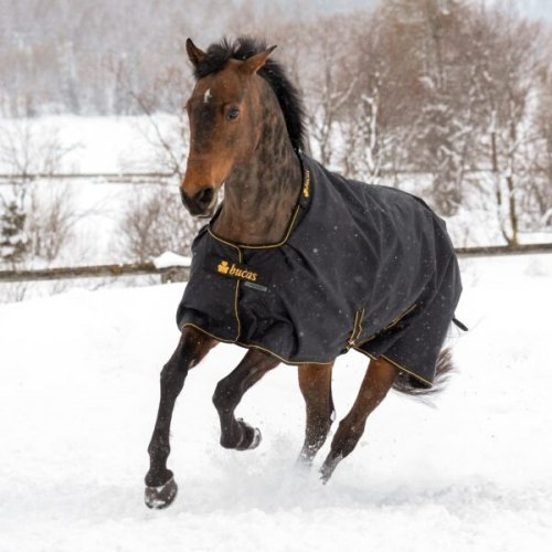 Derka padokowa 0g 1200D IRISH - Bucas - black/gold