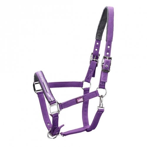 Kantar MEMPHIS II SS 2023 - Schockemohle - plum