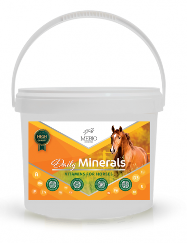 Witaminy i minerały Daily Minerals 10kg - St Hippolyt