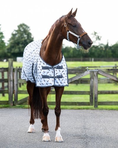 Derka siatkowa Stable buddy Dachshund SS26 - QHP 