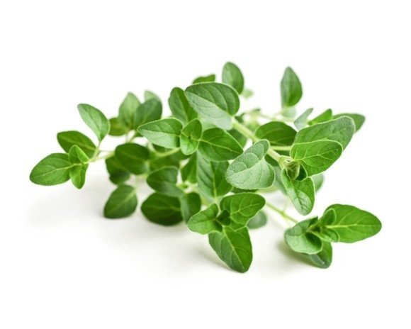 Oregano 3 kg - EQUIHERBS 
