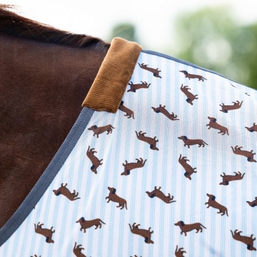 Derka siatkowa Stable buddy Dachshund SS26 - QHP 