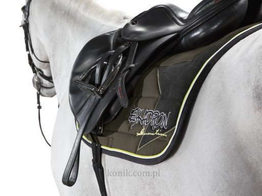 Potnik Eskadron Polo Pad BIG STAR z kolekcji NEXT GENERATION wiosna-lato 2015 - olive