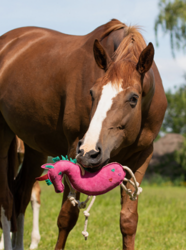 Zabawka dla konia zamszowa - QHP - unicorn