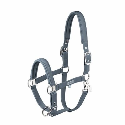 Kantar SOFTSHELL DOUBLE PIN Classic Sports S/S 25 - Eskadron - steel blue