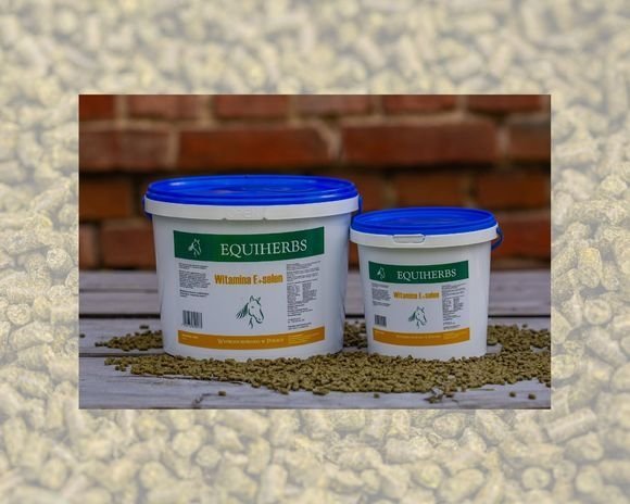 Witamina E + Selen 750 g - EQUIHERBS - granulat