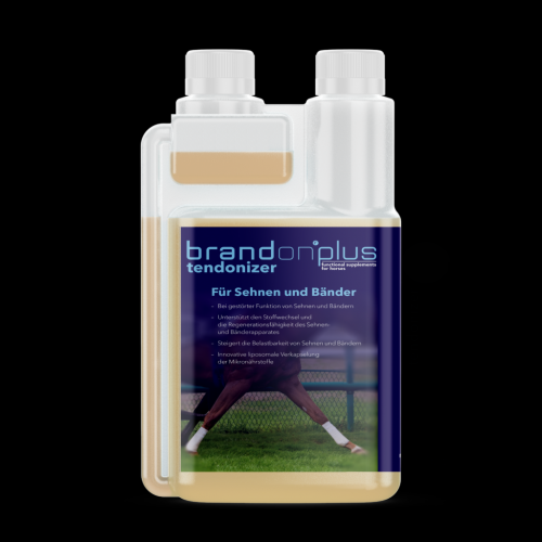 Tendonizer MSM 1200 ml