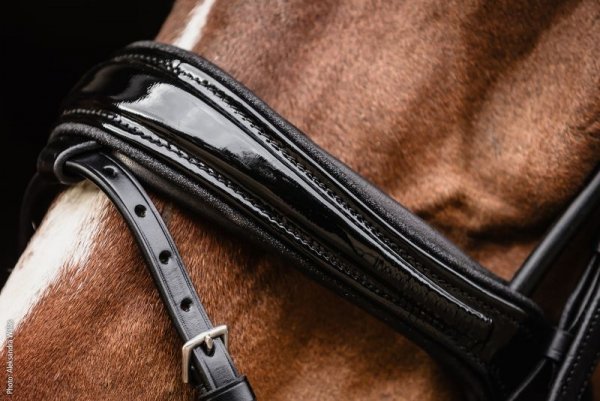 Ogłowie ISABELL WERTH Johnny - Schockemohle - black/patent/silver