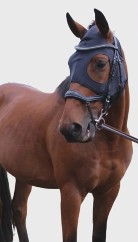 Ogłowie anatomiczne LUXURY - Kantrie