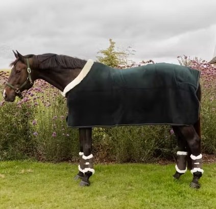 Derka polarowa Show Rug Heavy - Kentucky - pine green