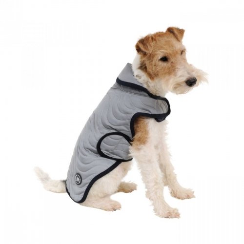 Derka dla psa Coat Reflective - SPOOKS - silver