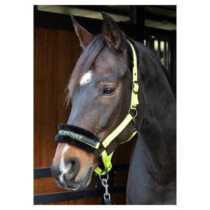 Kantar Lyrics Quotes - Harry's Horse