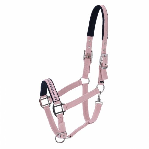 Kantar MEMPHIS II SS25 - Schockemohle - dusty pink