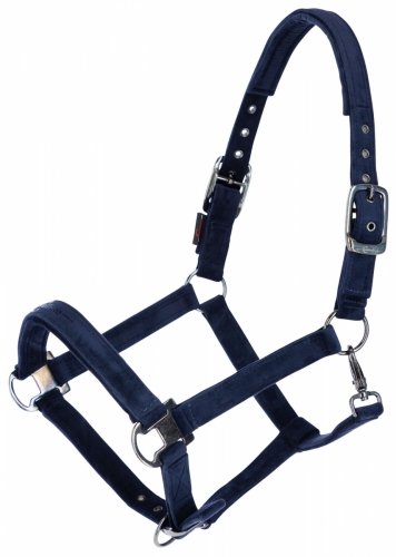 Kantar AW23 - Covalliero