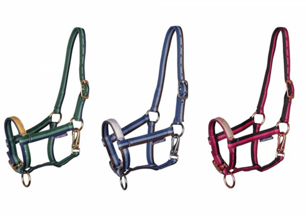 Kantar źrebięcy ANTON SU23 - Harry's Horse