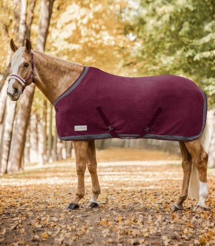 Derka polarowa Esperia Two - Waldhausen - burgundyred/pewter