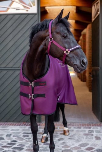 Derka padokowa z wypełnieniem 100g 900D  Newbridge - Horze - purple potion